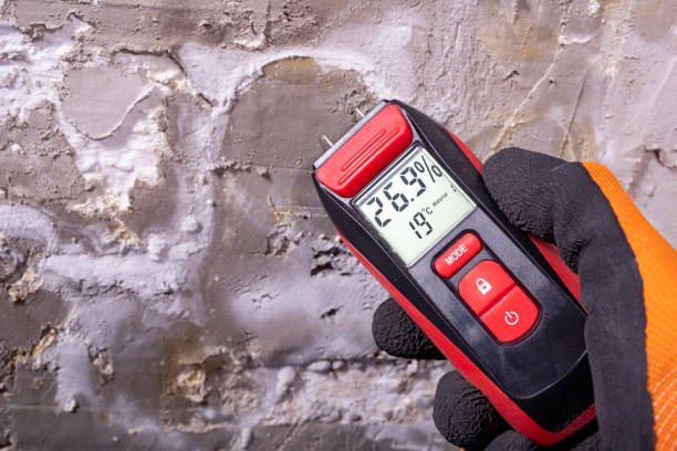 Best Mold Remediation Services  in Lexington, IL