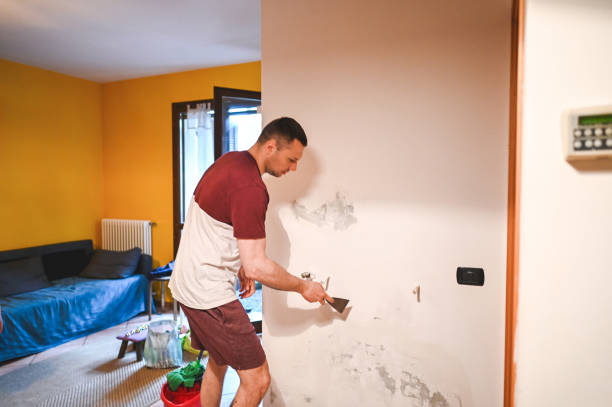 Best Emergency Mold Removal  in Lexington, IL